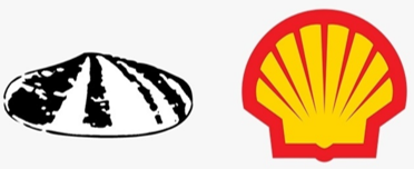 shell